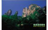 網(wǎng)絡(luò)熱門純玩游：張家界、天子山、袁家界、楊家界 自助三日游