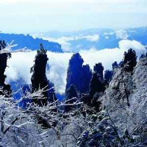 LD線：張家界、天子山、楊家界、猛洞河漂流純玩四日游