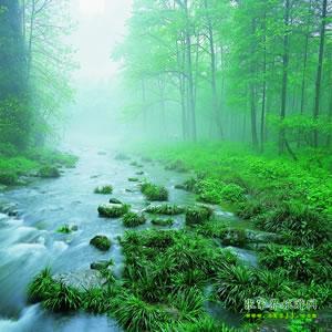 【純玩散拼尊享系列3】張家界、天子山、袁家界、黃龍洞、鳳凰三晚四日游