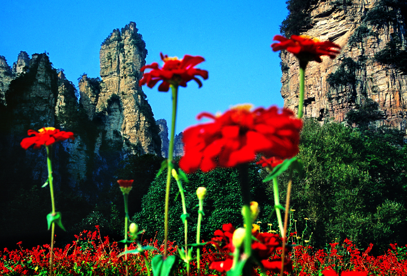 LF線：張家界國(guó)家森林公園、猛洞河漂流、鳳凰古城純玩自助五日游